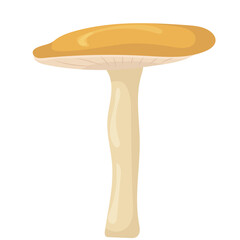 mushroom on white background in flat design isolated , vector