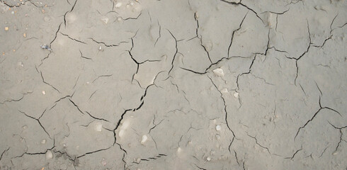 A barren gray ground pattern with cracks.