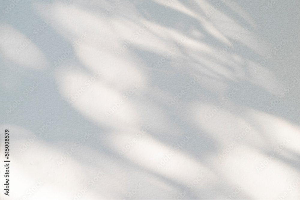 Poster abstract light shadow of leaf blurred background. natural diagonal leaves tree branch shadows and su