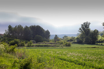 Green landscapes of Castilla, Spain in spring, pilgrims' passage area at the entrance to the city of Burgos.