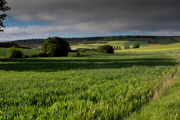 Obraz premium Fields of Castile, Spain in Spring, near the city of Burgos.