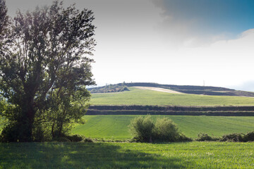 Fields of Castile, Spain in Spring, near the city of Burgos.