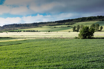 Green landscapes of Castilla, Spain in spring, pilgrims' passage area at the entrance to the city of Burgos.