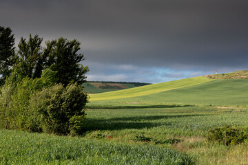 Fields of Castile, Spain in Spring, near the city of Burgos.