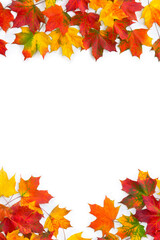 Frame of autumnal maple leaves on a white background with space for text. Top view, flat lay