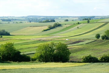 Obraz premium Colorful fields on hills around Kazimierza Wielka, Poland, Ponidzie, Swietokrzyskie