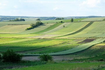 Obraz premium Colorful fields on hills around Kazimierza Wielka, Poland, Ponidzie, Swietokrzyskie