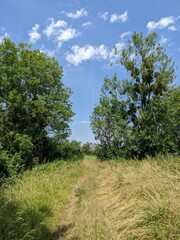 Obraz premium Burgundy's countryside, France - June 2022