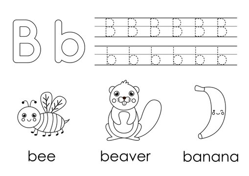 Learning English alphabet for kids. Letter B. Coloring book.