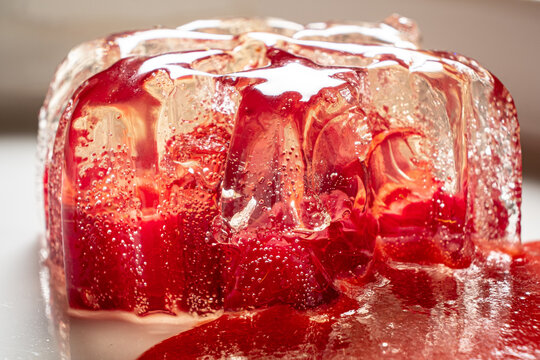 champagne jelly with fresh raspberries