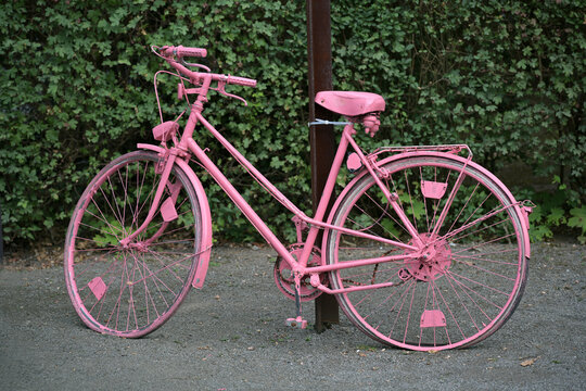 Pink painted bicycle with flat tires as decoration in front of a hedge