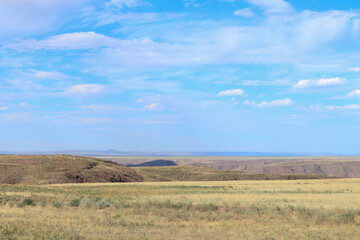 Fototapeta na wymiar hilly dry steppe desert. beautiful dry landscape