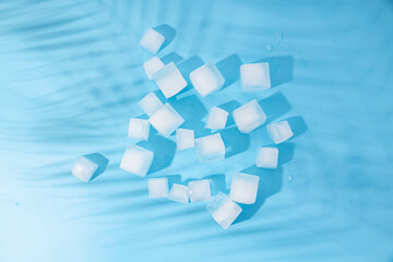 Many ice cubes under the shadow of palm leaves on a blue background