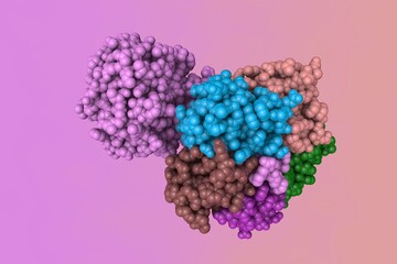 Shiga toxin produced by bacteria Shigella dysenteriae. Space-filling molecular model. Rendering with differently colored protein chains based on protein data bank. 3d illustration