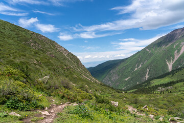 Fototapeta na wymiar Landscape with high green mountains