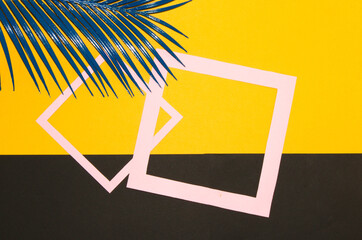 yellow black background with two pink frames as copy space and palm leaf above, creative modern art luxury view, trendy background