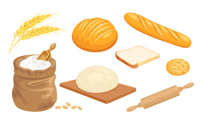 Bakery set. Vector bread, flour in sack, wheat ears, grain, raw dough, rolling pin, cookie, french baguette and toast bread slice. Cartoon illustration.