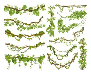 Foto op Canvas Cartoon jungle liana plants, tropical climbing creepers branches. Exotic plants with moss, flowers and jungle leaves vector illustrations set. Rainforest liana branch vines © GreenSkyStudio