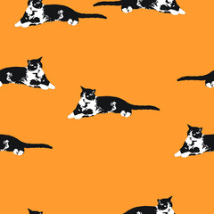 Kitten seamless vector pattern on orange background