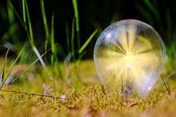 Glühbirne im Moos  - Environment - Ecology - High quality photo - lightbulb on a field- green...