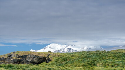 Snow covered mountains rising up behind a field of tussock grass at Jason Harbor on South Georgia Island