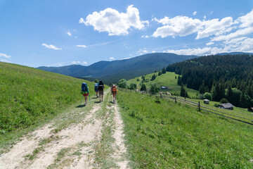 Fototapeta na wymiar A group of tourists with backpacks moves through a valley in the Ukrainian Carpathians