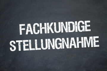 Fachkundige Stellungnahme