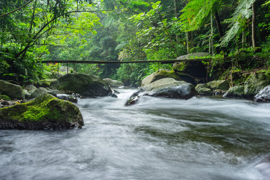 Long exposure and blur image of clear water rivers stream in the middle of tropical rain forest jungle. Rivers surrounded by hill, rock with moss, and abandoned metal bridge. Motion blur river photo