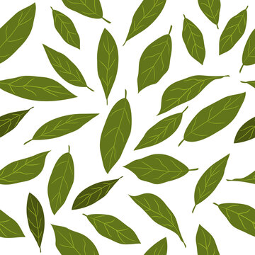 Bay leaf seamless pattern in cartoon flat style. Vector illustration. Healthy food background.