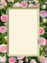 Golden frame in front of pink rose flowers, petals.
