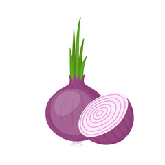 Red onion, whole and cut. Organic farm vegetable, vector illustration
