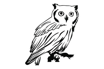 owl ilne art vector