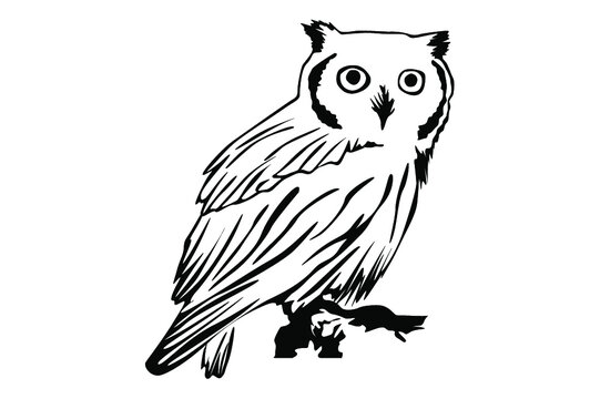 recommend clip art: owl ilne art vector