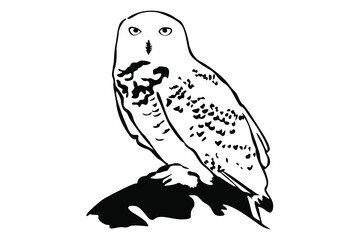 owl ilne art vector