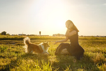 Woman and sheltie shetland sheepdog on a walk during golden sunset.