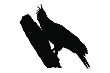 Eagle Silhouette Vector