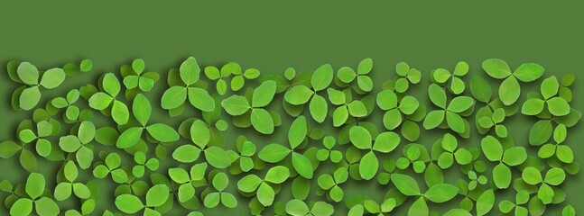 Green clover leaves border isolated on green background for ecology concept design, botanical...