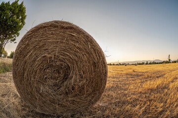 Countryside landscape with round bales of hay in the foreground