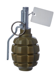 hand grenade of dark green color on a white background