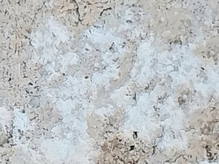 texture of the wall