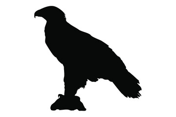 Eagle Silhouette Vector