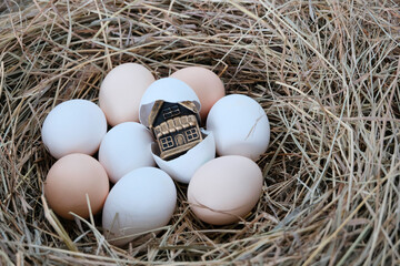 The house is a gilded toy, in an eggshell, white eggs next to a background of straw, hay. The concept of the acquisition of housing, construction, mortgage in a crisis. Easter decoration.