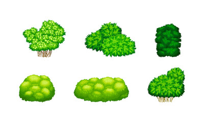 Green bushes of different shapes set. Shrubs for park, garden decor or green fence cartoon vector illustration
