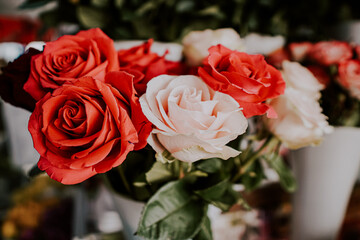 bouquet of red roses