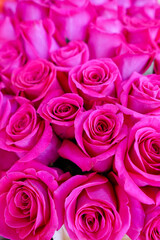 pink roses bouquet