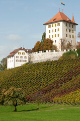 Obraz premium Schweiz, Luzerner Seetal, Schloss Heidegg im Herbst