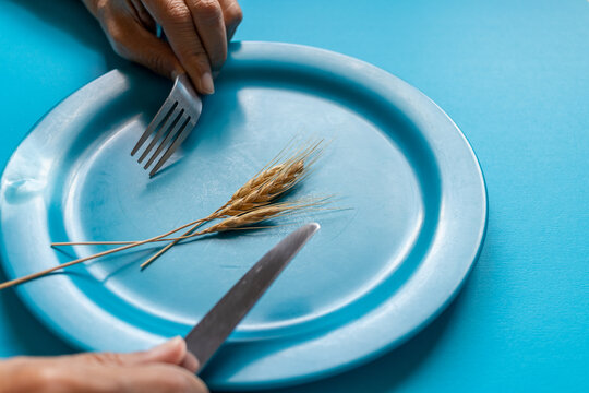 Wheat spikes grains on a plate, world food crisis concept