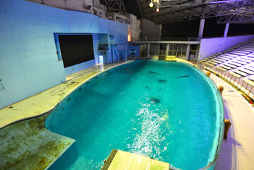 イルカショーの水槽 水族館イメージ