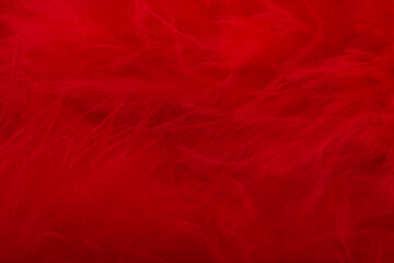 background of red swan fluff