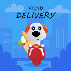 Delivery food dog